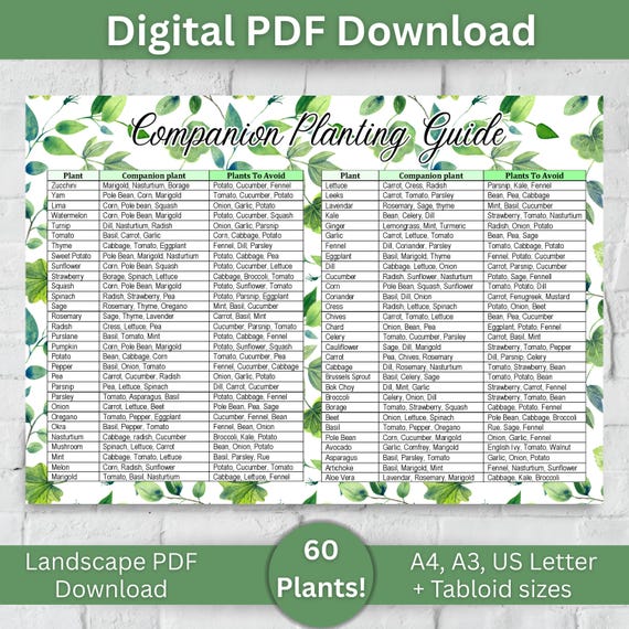 Companion Planting Guide Digital Landscape PDF US Garden Planner Printable Garden Chart Eco-Friendly Gardening Tips Landscape Garden Planner