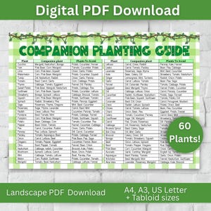 Companion Planting Guide Digital Landscape PDF US Garden Planner Printable Garden Chart Eco-Friendly Gardening Tips Landscape Garden Planner