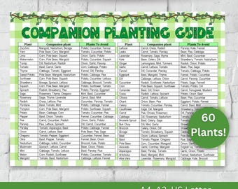Companion Planting Guide Digital Landscape PDF US Garden Planner Printable Garden Chart Garden Companion Chart Home Decor Garden Planner