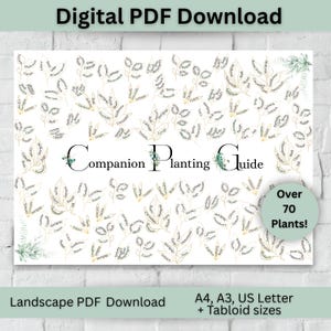 Companion Planting Guide Digital Landscape PDF US Garden Planner Printable Garden Chart Eco-Friendly Gardening Tips Landscape Garden Planner