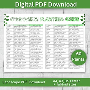 Companion Planting Guide Digital Landscape PDF US Garden Planner Printable Garden Chart Eco-Friendly Gardening Tips Landscape Garden Planner