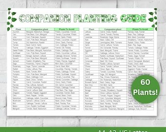 Companion Planting Guide Digital Landscape PDF US Garden Planner Printable Garden Chart Eco-Friendly Gardening Tips Landscape Garden Planner