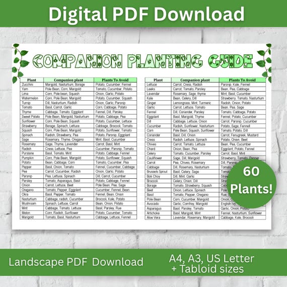 Companion Planting Guide Digital Landscape PDF US Garden Planner Printable Garden Chart Eco-Friendly Gardening Tips Landscape Garden Planner