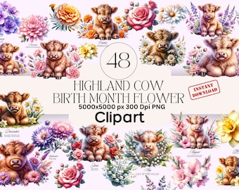 Highland Kuh Geburtsmonat Blume Clipart Bundle (PNG Sofort-Download) Highland Kuh Kindergarten