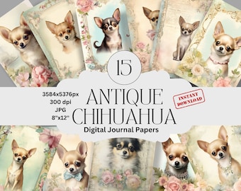 Conjunto de papéis digitais com chihuahua antigo para scrapbook vintage (download digital) - Retratos de animais de estimação