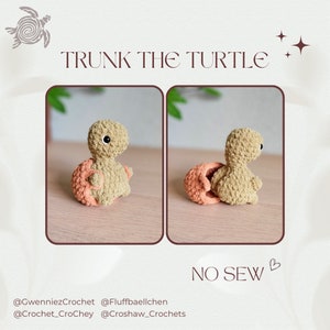 Trunk the Trendy Turtle, NO-SEW crochet amigurumi PDF Pattern, inc. modifications for costumes: halloween, santa, orange and mushroom!