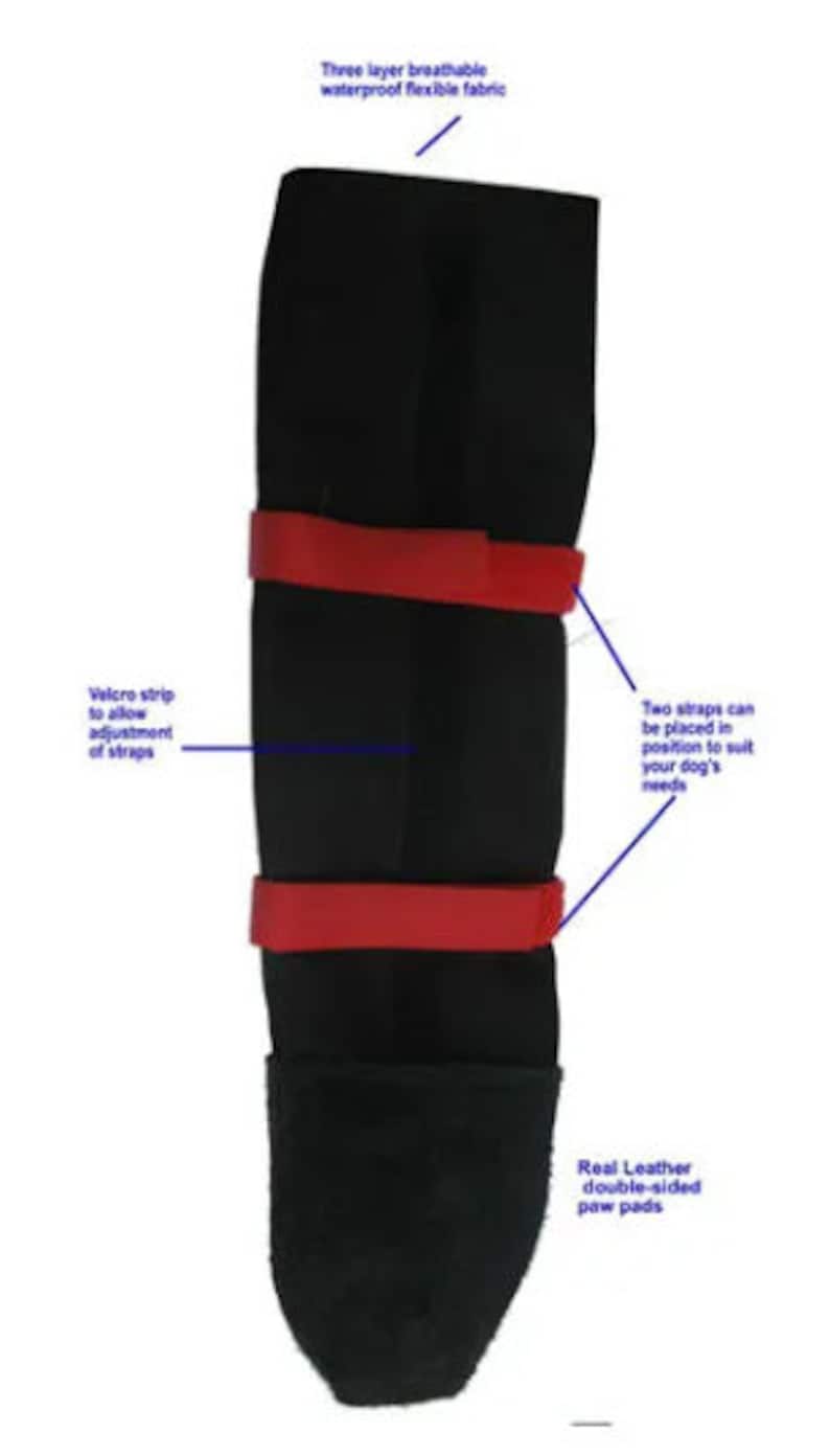 Dog Boots for Disabled Dogs, Dragging Paws or Missing Paws, CDRM Etsy