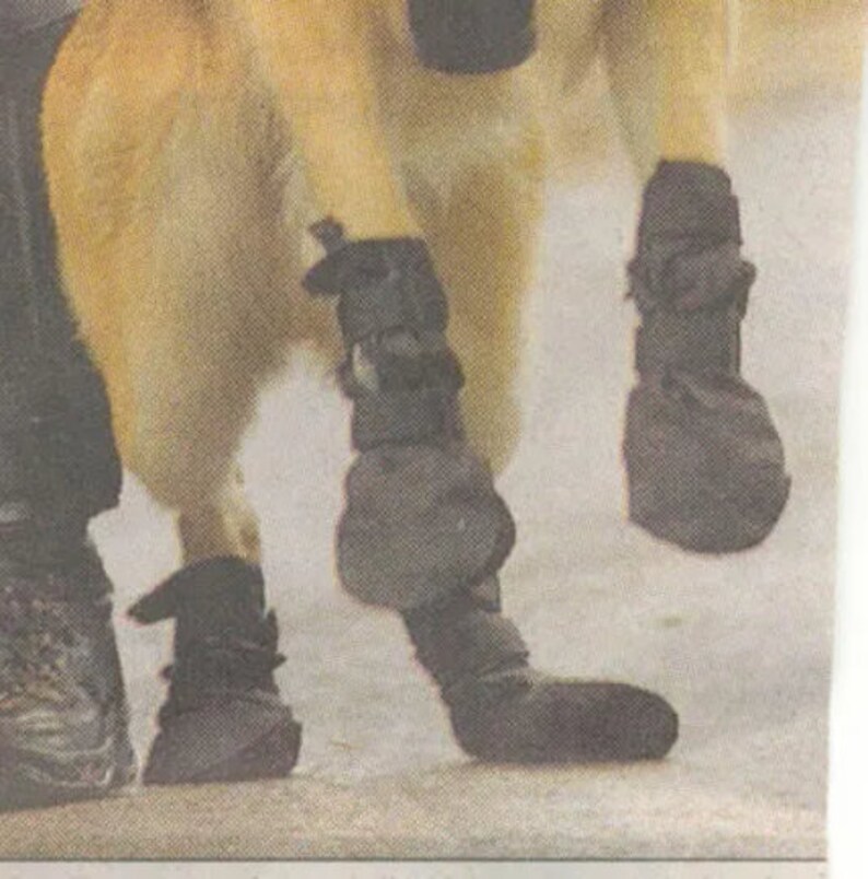 Dog Boots for Disabled Dogs, Dragging Paws or Missing Paws, CDRM Etsy