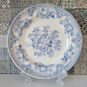 Antique Asiatic Pheasant Ironstone Pale Blue and White China Plate /collectible / Farmhouse Country Cottage Kitchen/1830'