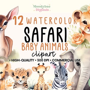 12 Safari Cute Baby Animals Watercolor Clipart, Baby Shower, Nursery Decor, Kids Birthday Decor, Lion, Zebra, Elephant PNG, Commercial use