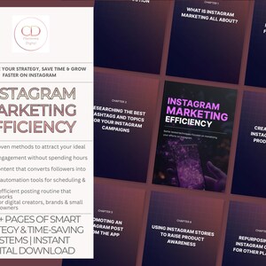 Instagram Marketing Efficiency