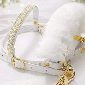 Brida de filete blanco brillante, detalles dorados, diamantes de piel