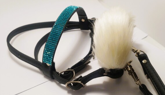 Ensemble tête décrochage et collier de poitrine avec rênes ensemble