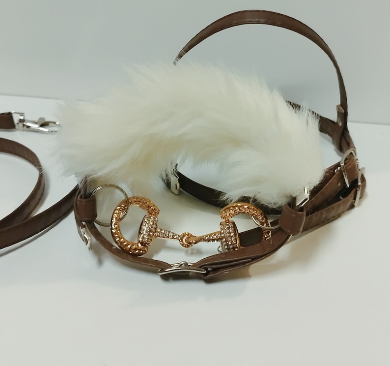 May include: Brown leather horse halter with a white fur trim and a gold-tone metal bit.
