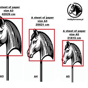 May include: Three black and white horse head illustrations on a white background. The illustrations are labelled with the paper sizes A3, A4, and A5, and the corresponding dimensions in centimetres. The text "hobbyhorsowo.pl" is also visible.