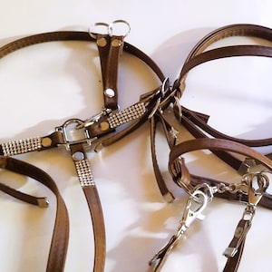 4in1 Vorderzeug, Trensenzügel für Hobby Horse braun hh