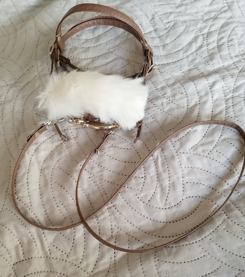 May include: A brown leather dog harness with a white fur trim and a matching lead.