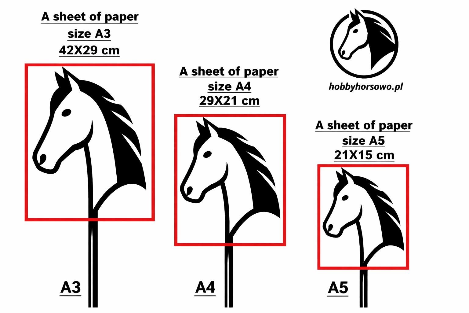 Collier pendentif - Fer à Cheval - Plaqué or et zircons – Chevaux Passion