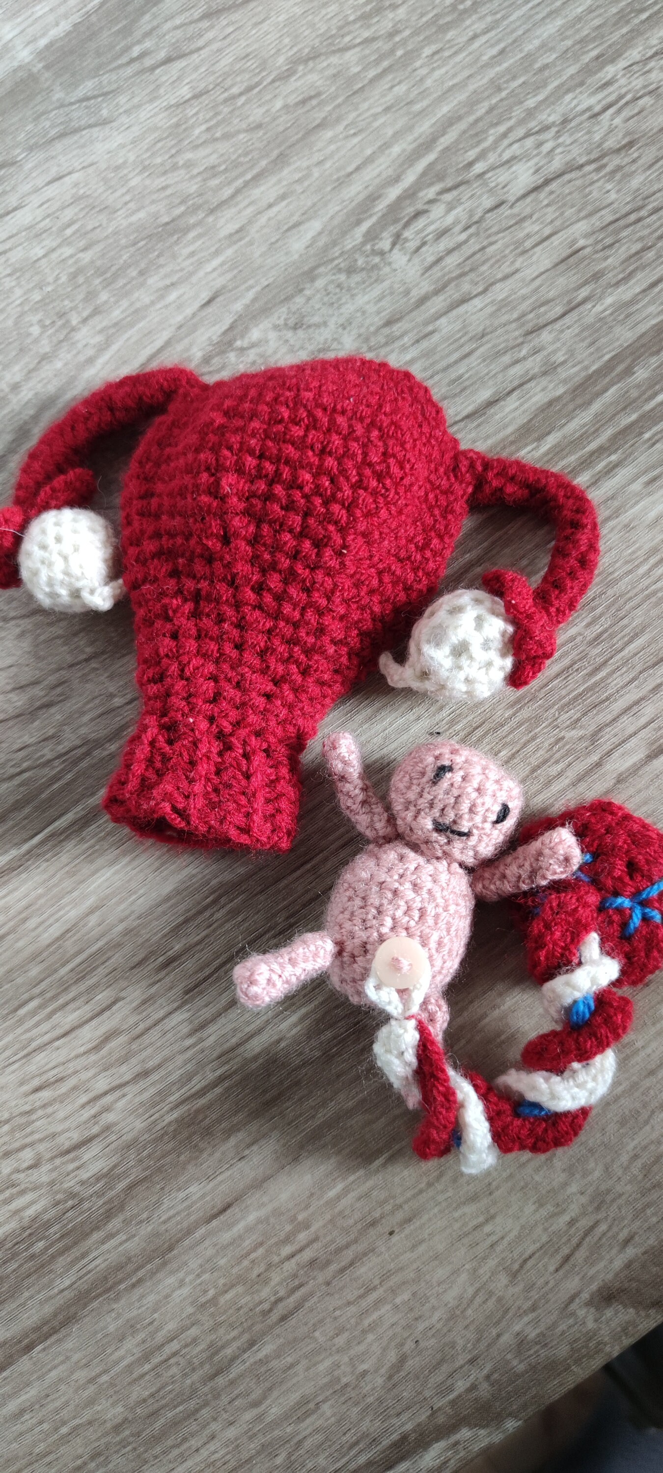 Crochet Birthing Model With Uterus Placenta and Baby - Etsy