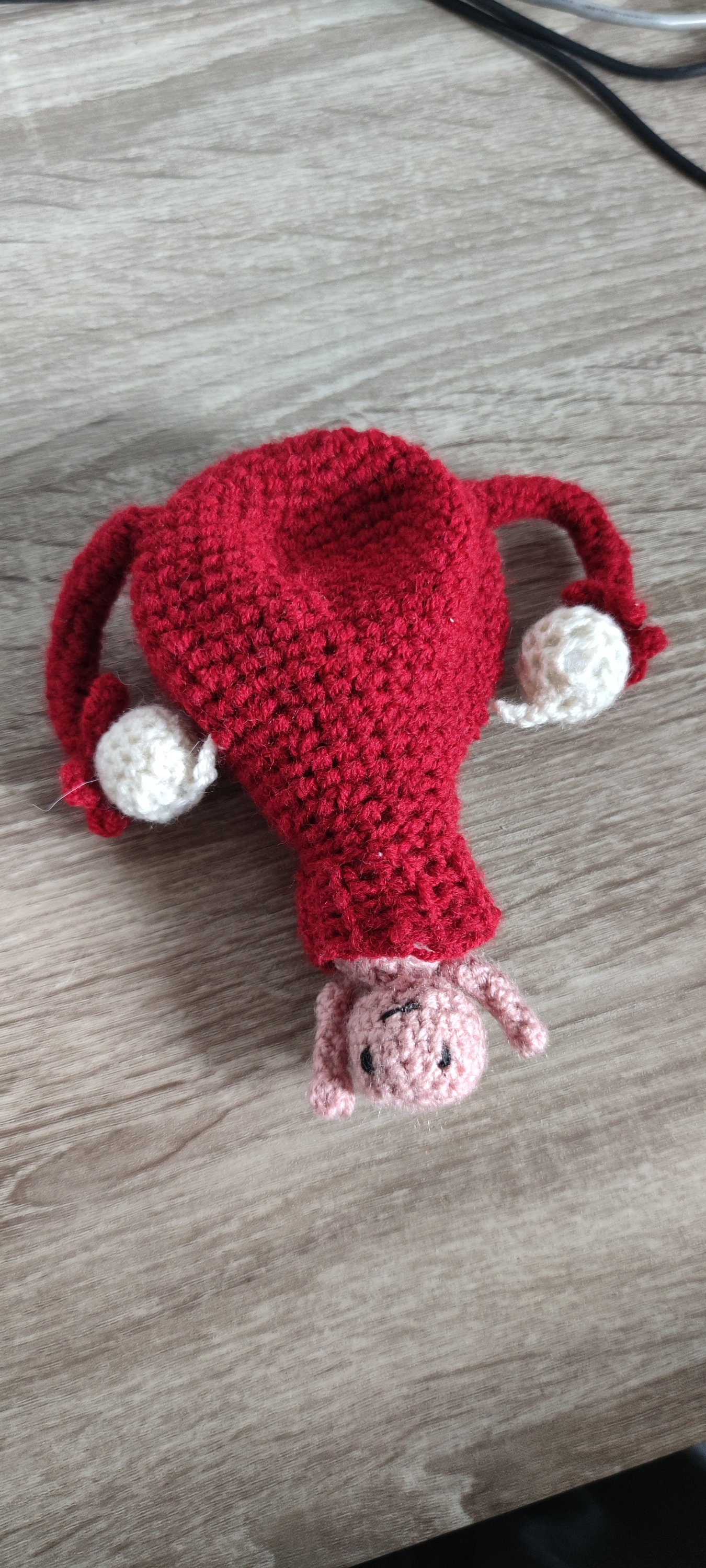 Crochet Birthing Model With Uterus Placenta and Baby - Etsy