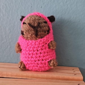 Squidgame Capybara Bundle