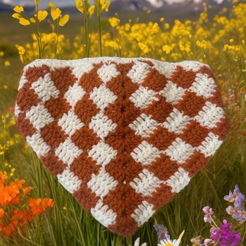Blue Checks Crochet Bandana main image 1