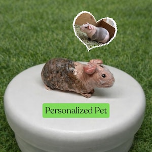 May include: A detailed sculpture of a hairless guinea pig, with pink skin and patches of brown and gray fur. The sculpture is on a white surface, with the text "Personalized Pet" on a green rectangle. A heart-shaped inset shows a live guinea pig.