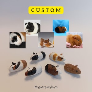 Può includere: Figurini di porcellana di cavia personalizzati in vari colori e motivi. I figurini sono piccoli e dettagliati, con tratti realistici. I figurini sono disposti su una superficie bianca. Il testo "MyPetsMyLove" è visibile nella parte inferiore dell'immagine.