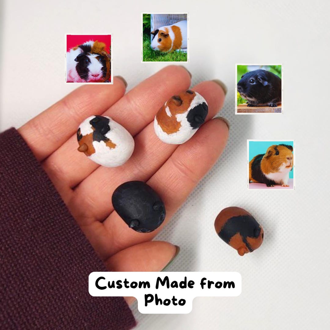 Lovely guinea pig figurine Concrete animal statue Home garden ornament Stone pet | UK Lovely guinea pig figurine Concrete animal statue Home garden ornament Stone pet | UK