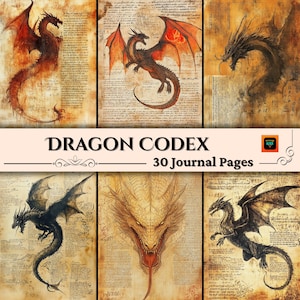 Pagine di diario di Dragon Codex, pagine di album fantasy, fogli di collage del bestiario dei mostri, effimeri per la creazione di oggetti di gioco D&D, BOS