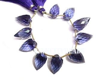 May include: A strand of faceted, teardrop-shaped beads in shades of deep indigo and violet. The beads are strung on a gold-colored wire, with a pair of purple tassels at the top. The beads are approximately 1 inch in length.