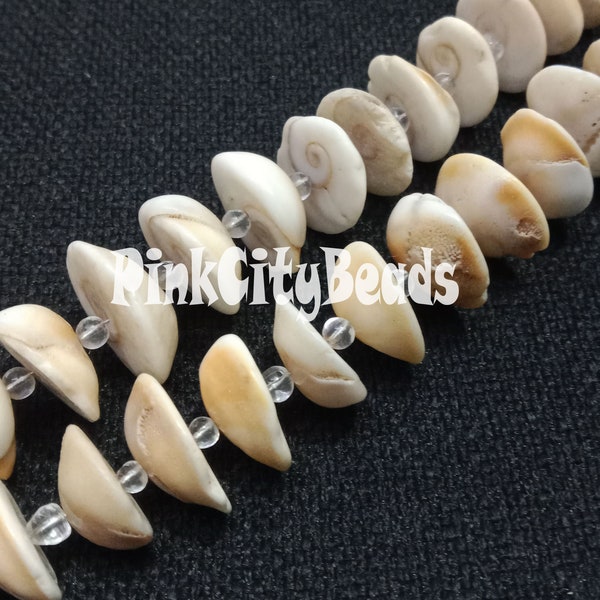 Shiva Eye Coin Shape Beads/ Jewelry Making Craft/ White Shiva Eye Smooth Gemstone Beads/ 8 Inch strand