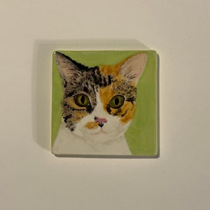 以下が含まれることがあります： 緑色の背景に、緑色の目をした三毛猫が描かれたセラミックタイルのクローズアップ。猫は正面を向いており、ピンク色の鼻をしています。