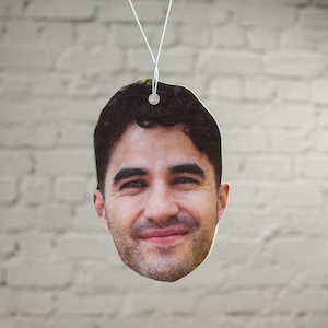 Désodorisant pour voiture Darren Criss, désodorisant Glee, cadeau nouveauté accessoires de voiture cadeau pour elle lui Noël anniversaire acteur Blaine Gleek