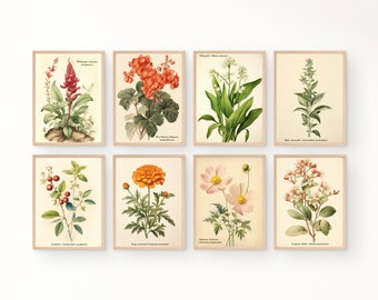 Vintage Botanical Prints Gallery wall Set of 8, Floral Poster, Vintage Botanical prints, Antique Botanical Prints, Rustic Botanical wall Art