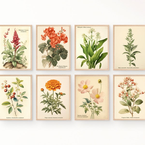 Vintage Botanical Prints Gallery wall Set of 8, Floral Poster, Vintage Botanical prints, Antique Botanical Prints, Rustic Botanical wall Art