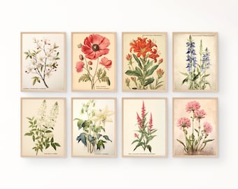 Vintage Botanical Prints Gallery Wall Set of 8, Vintage Neutral ...