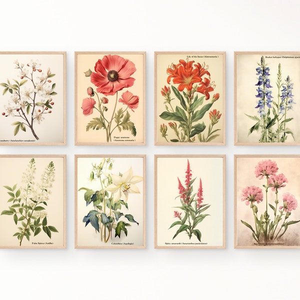 Vintage Botanical Prints Gallery wall Set of 8, Floral Poster, Vintage Botanical prints, Antique Botanical Prints, Rustic Botanical wall Art