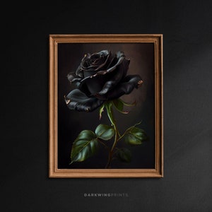 Moody Vintage Black Rose Art, Dark Aesthetic Room Decor, Digital Prints Wall Art, Gothic Home Decor, Floral Printable Poster Download / G58