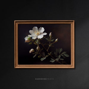 Estampado de flores blancas vintage oscuras, arte de la pared de la granja, pintura al óleo floral cambiante, arte antiguo digital, arte de pared imprimible / G204