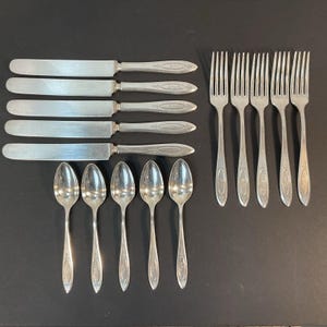 May include: A set of fifteen silver-toned flatware pieces consisting of five knives, five forks, and five spoons. Each piece features a smooth, elongated handle with a subtle, etched oval decorative pattern near the base of the handle.