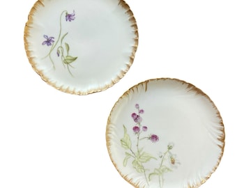 Haviland 1870-1890 Decorative Floral Plates France 7” Set of 2