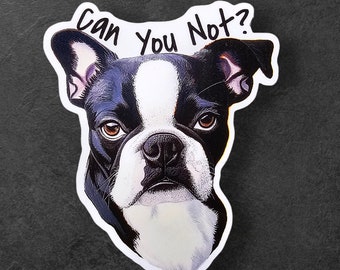 Meme Dog Can You Not | Sarcasm Funny Sticker | Water Resistant Decal | Water Bottle