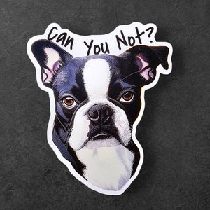 Meme Dog Can You Not | Sarcasm Funny Dog Sticker | Gifts under 10 | Water Resistant Decal | Water Bottle | Laptop | Joke Sarcastic