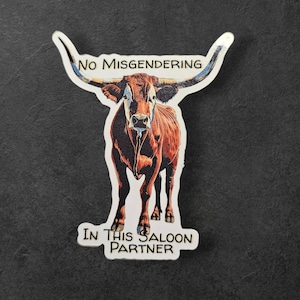 Longhorn-Kuh-Aufkleber - es wird keine Misgendering geben, Stolz-Cowboy-Kuh Holographische freiheitliche linke feministische Aufkleber, Gay Pride LGBTQ