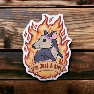 Gambá, sou apenas uma garota | Adesivo meme animal fofo e engraçado à prova d'água de vinil brilhante para garrafas de água, laptops, presentes