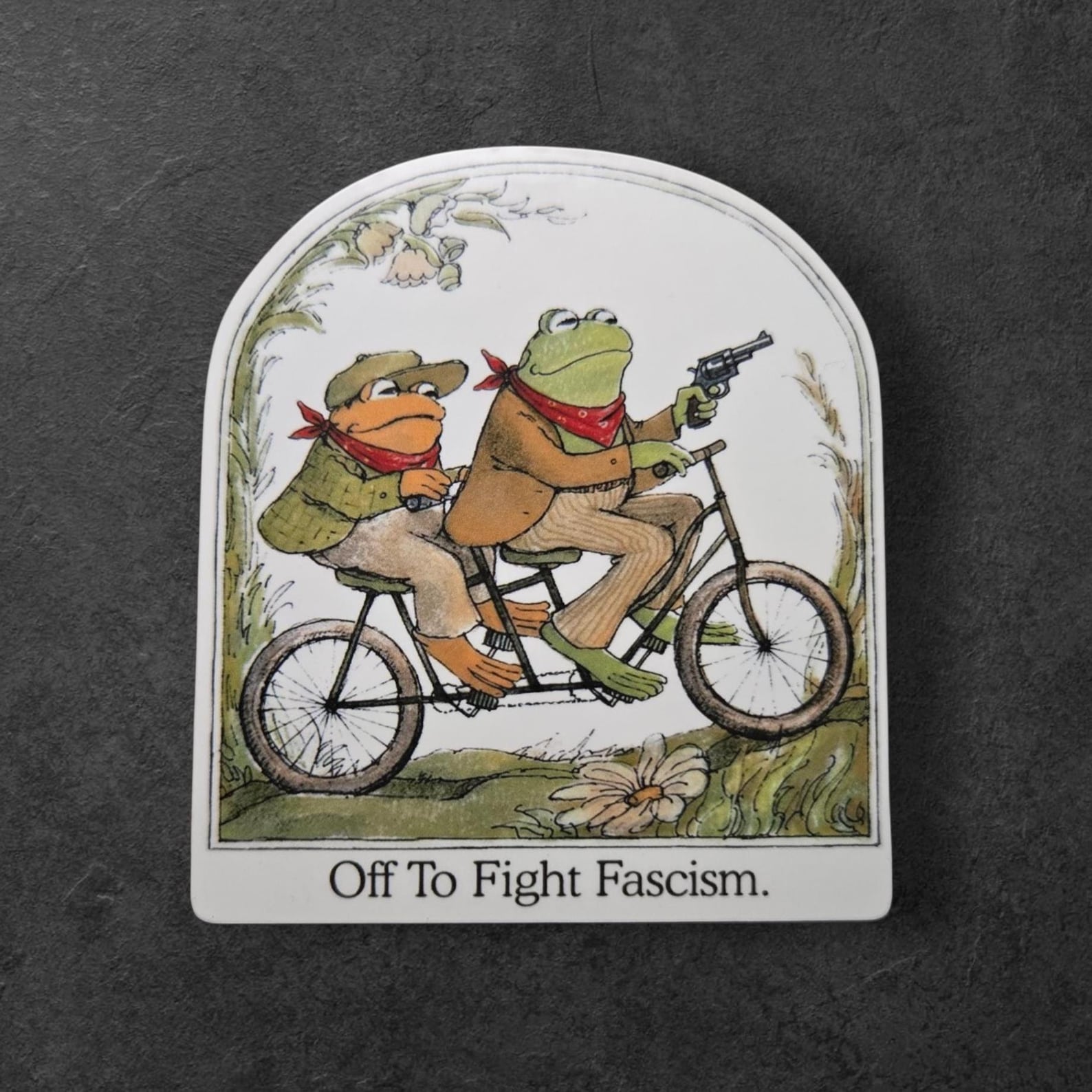 Frog and Toad Anti Fascist Sticker – off to Fight Fascism Vintage Book ...