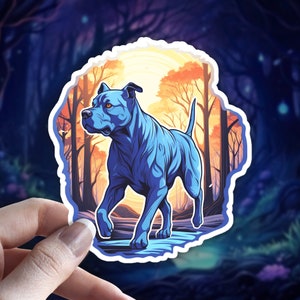May include: A blue pit bull terrier dog with orange eyes is walking through a forest with a sunset in the background.