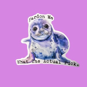 Perdóname pegatina WTF, pegatina de foca bebé, regalo de pegatina divertida, pegatina de meme, pegatina de animal