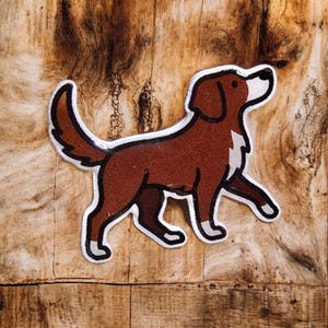 Toller Dog Pin: Nova Scotia Duck Tolling Retriever, Resin Coated Lapel Pin